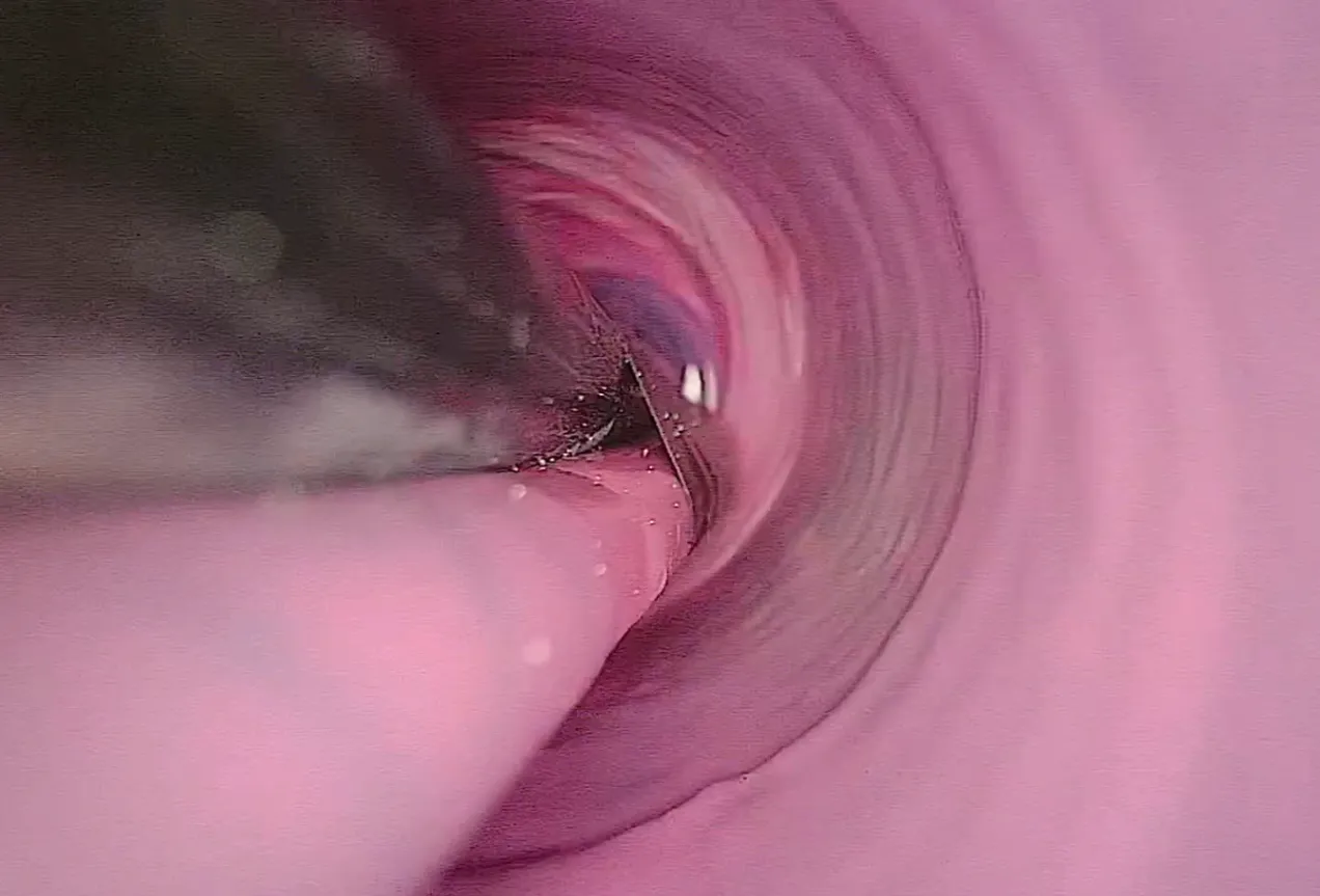 Epoxy coating with ProLight2